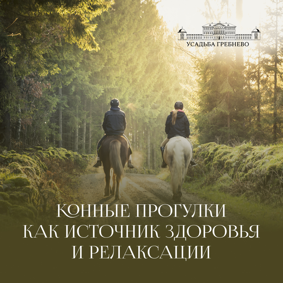 Конные прогулки в усадьбе Гребнево как источник здоровья и релаксации
